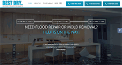 Desktop Screenshot of bestdryfloodandmold.com